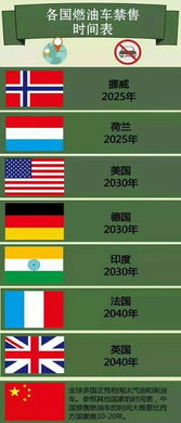 网约车破解出行难题，新能源车凭借网络推广成市场新宠